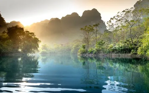 高效全自动节能